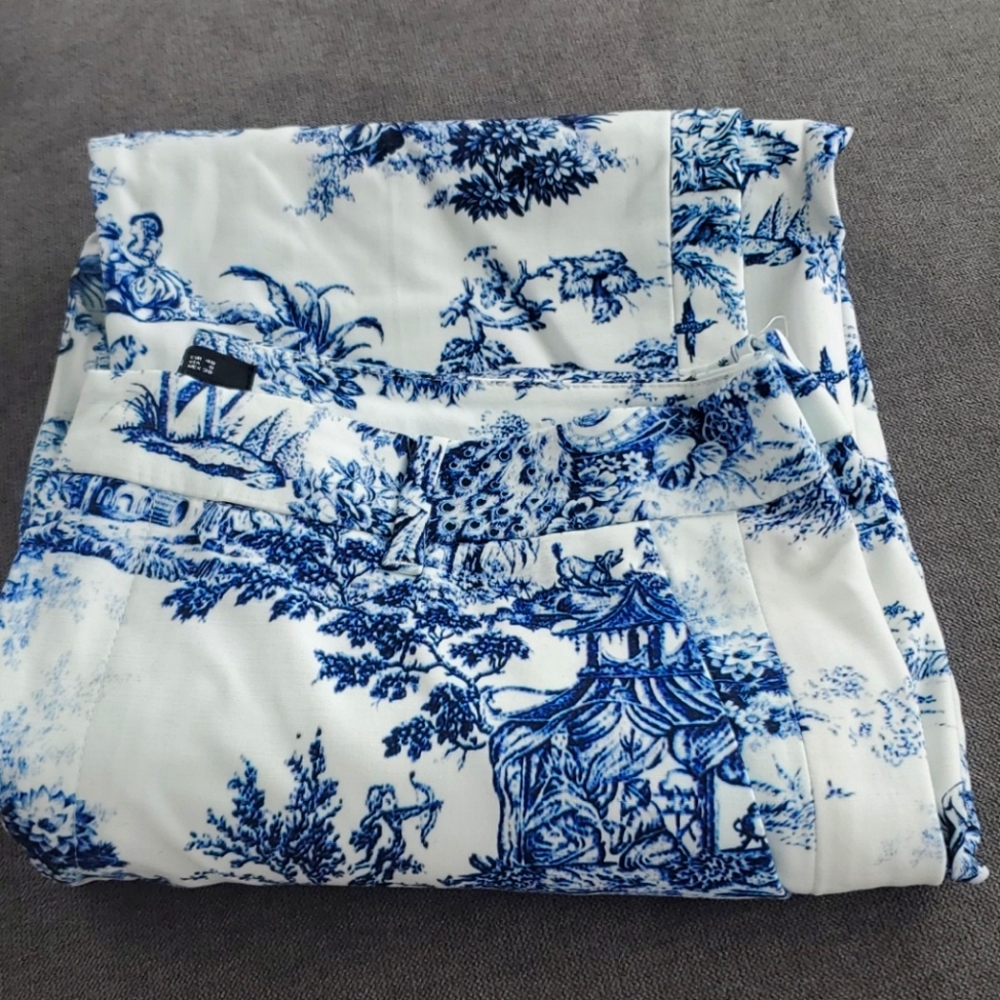 Zara capri pants
